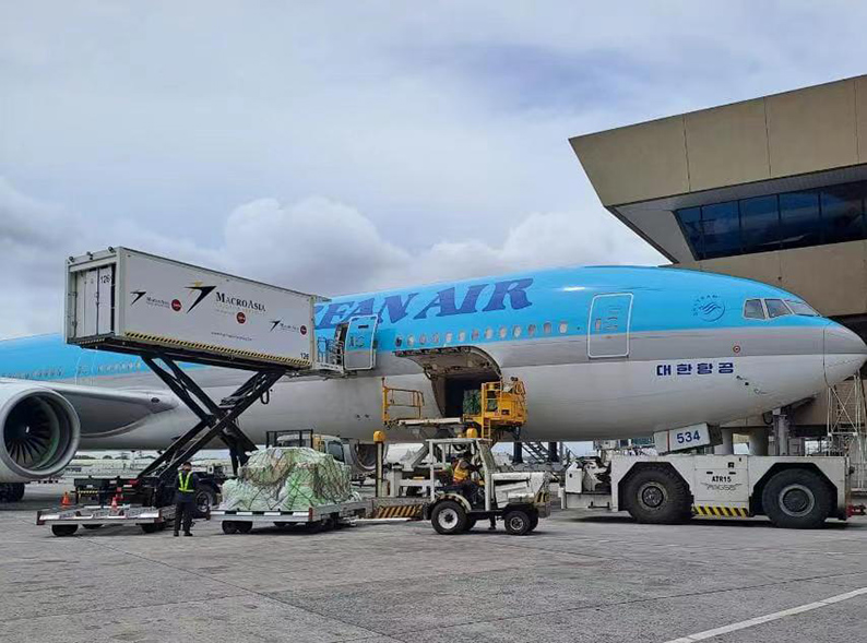 macroasia ʳƷ����ҵ-����.jpg